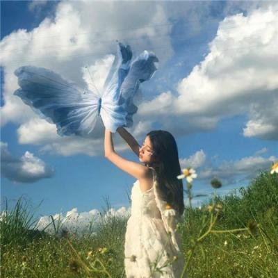 双琴记 在线观看